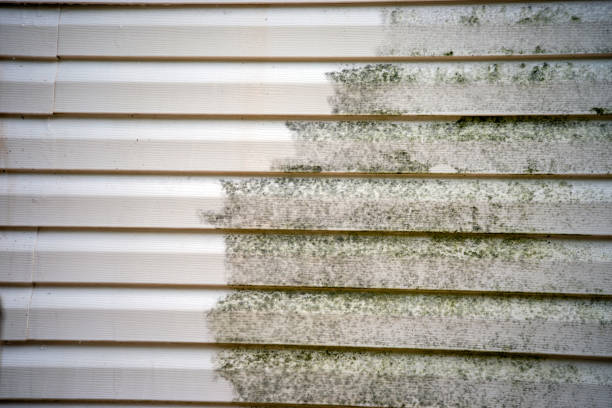 Best Dumpster Rental Services  in Winnsboro, LA